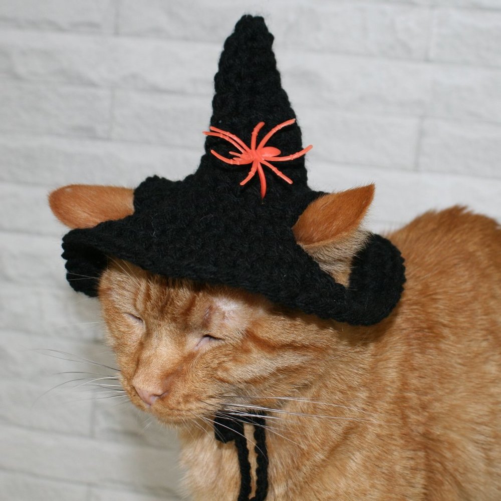 HAND CRAFTED Crochet Halloween Witch Hat Spider Cat Costume Photo Prop - Picture 7 of 13
